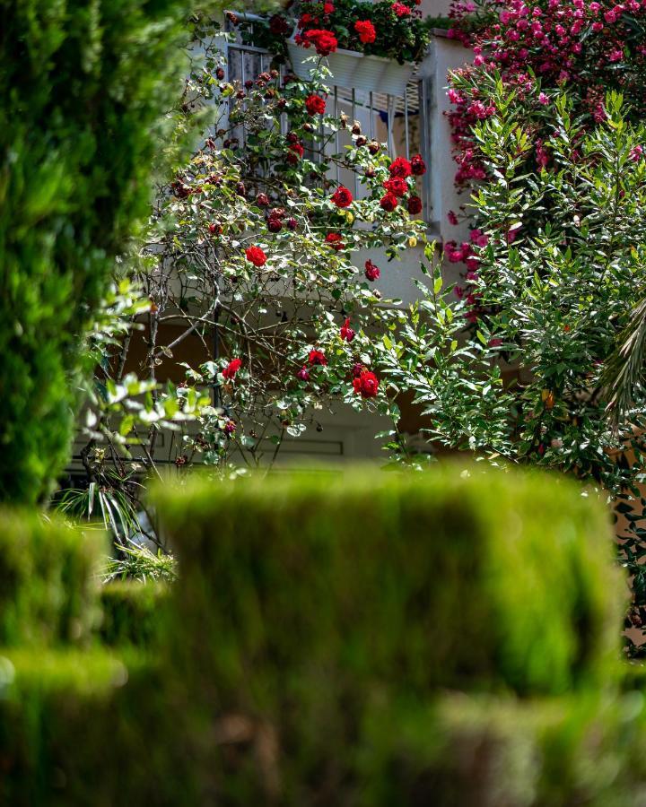 Villa Rudi Bibinje